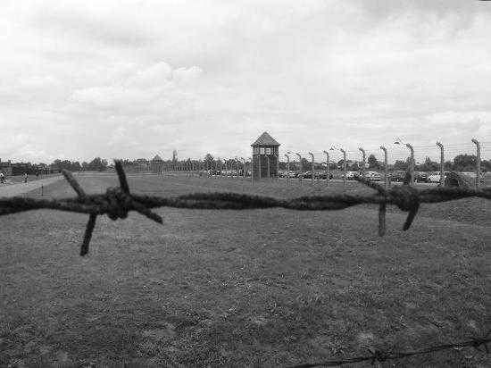 Italiano ruba filo spinato del campo di concentramento di Auschwitz