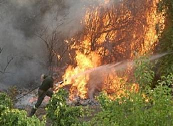 Emergenza incendi in Sicilia