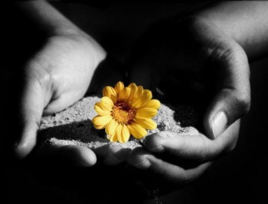 Ama il prossimo tuo...