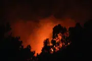 Grave incendio, Parco Della Biodiversita' plauso Wanda Ferro agli uomini che hanno domato le fiamme