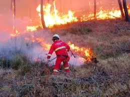 Incendi: paura nel crotonese case minacciate dalle fiamme duro lavoro per i Vigili