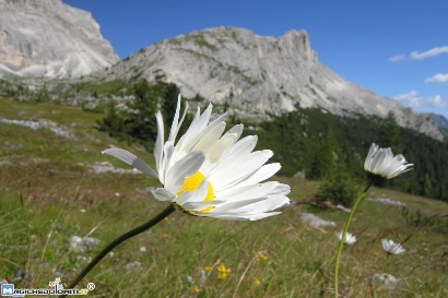 Tentazione, peccato e conversione