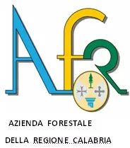 Rassicurazioni dell'assessore Trematerra e del commissario Mancuso sulla crisi dell'Afor