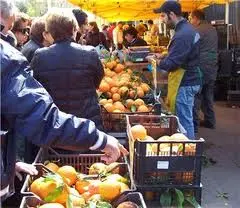 Il mercato settimanale di "Campagna Amica" riapre da luglio a Tarquinia Lido