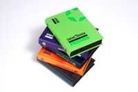 NUOVA SMEMORANDA 2013: ECOLOGICA E FRIENDS!