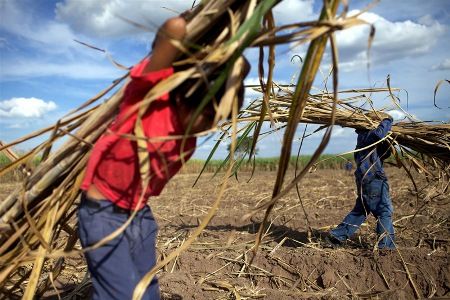 Lavoro minorile. Oltre 215 milioni di bambini sfruttati