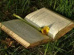 Libri news Giugno 2012