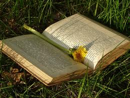 Libri news Giugno 2012