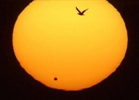 Il transito di Venere