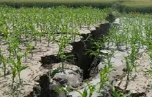 Coldiretti, 100 mila ettari di terreno nelle zone terremotate senza acqua