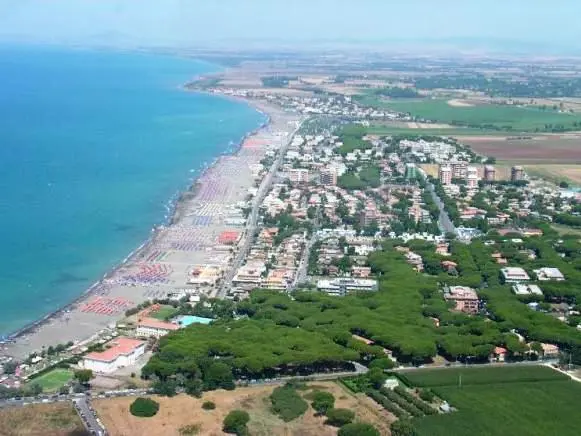 Torna a Tarquinia Lido "Toby e Figaro beach", la spiaggia per cani e gatti