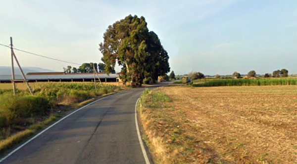 La consegna dei lavori della strada provinciale n° 110