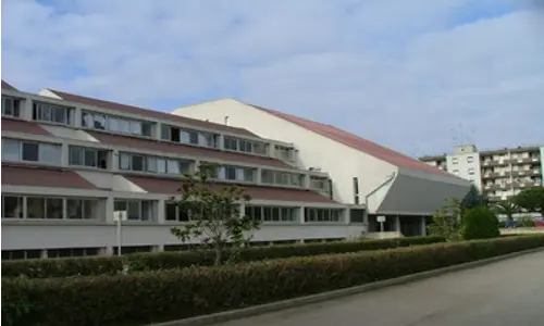 Brindisi, doppio ordigno esplode davanti una scuola - DIRETTA VIDEO