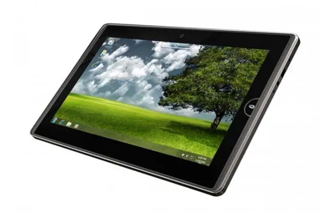 In America gli I-Pad spopolano anche tra gli oranghi
