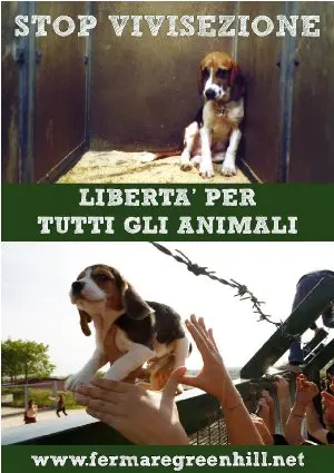No a Green Hill, no alla vivisezione