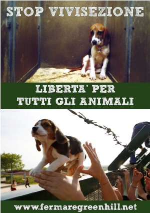 No a Green Hill, no alla vivisezione