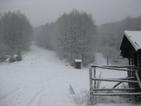 Catanzaro Snow Riders: Lettera aperta all'assessore Tallini