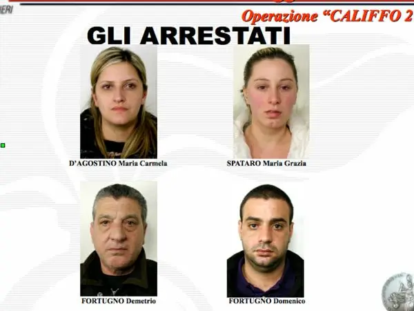 Ndrangheta: 7 persone fermate e 1,5 mln sequestrati al clanPesce di Rosarno