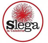 Slega La Calabria aderisce allo Sciopero del 17 aprile e Martedì sarà in Piazza con la Cgil