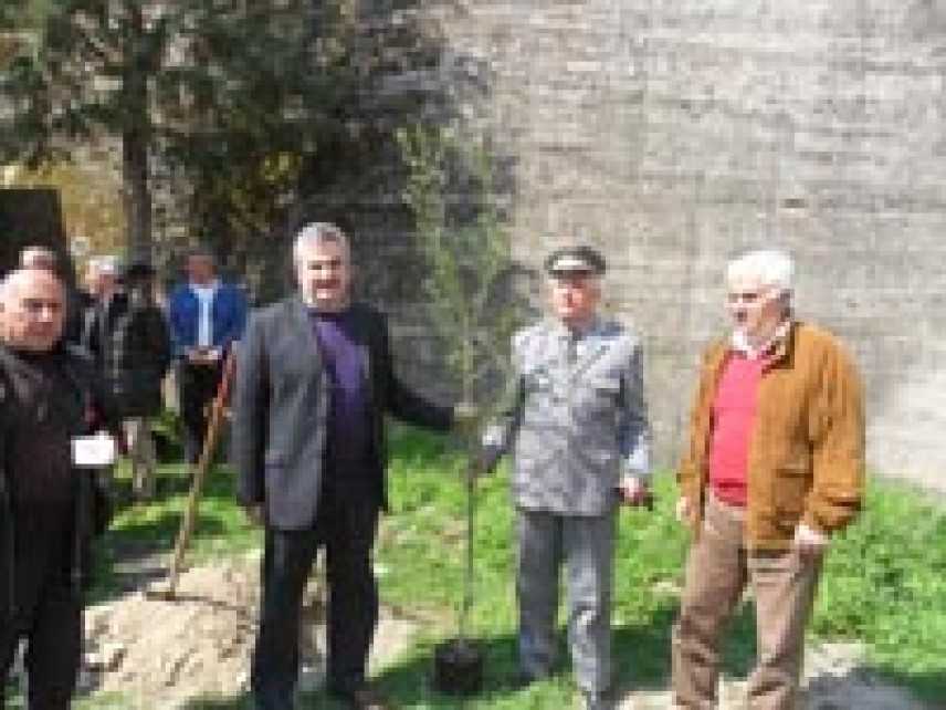 Il sindaco De Rose di San Donato Di Ninea (Cs) rilancia la festa dell' albero 2012