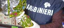 Pasqua: NAS sequestra 2.800 tonnellate di alimenti pericolosi