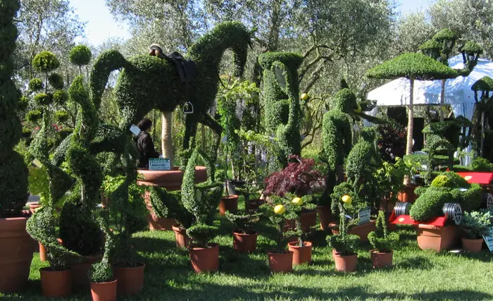 Ecco la Primavera!