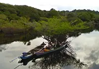 La Foresta Amazzonica a portata di clik grazie a Google Street