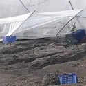 Maltempo a Siracusa, danni su tutta la provincia. L'agricoltura il settore più colpito