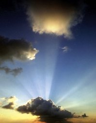 Il celibato: solo per i sacerdoti?