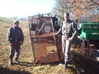 Teneva cinghiali in gabbia, denunciato nel catanzarese