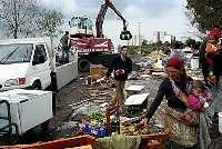“Stop agli sgomberi forzati di rom”, appello ad Alemanno dal mondo della cultura