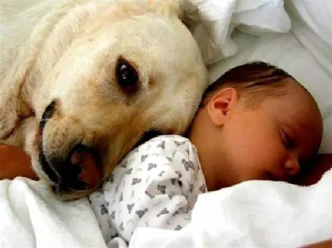 La pet therapy: divertimento e cura per piccoli malati