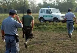 CFS:cinque persone sono state denunciate nel reggino in flagranza di reato