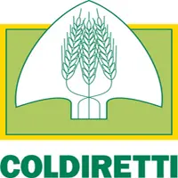 Maltempo in Calabria: le prime stime dei danni all'agricoltura