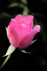 Il matrimonio cristiano