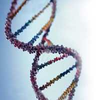 Test DNA: tecnologia che si sta diffondendo molto rapidamente