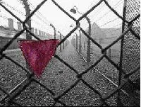 La memoria dell'Omocausto