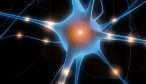 Cervello. Scoperte le cellule del suicidio