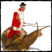 La Cassazione Civile contro i processi lumaca