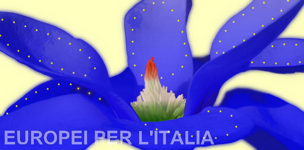 Europei per l'Italia: chiediamo le dimissioni del consigliere Mauro Aicardi della Lega Nord