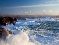 La correlazione tra Parola e Fede