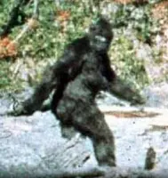 Inguscezia, catturato uno Yeti: bufala o realtà?