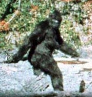 Inguscezia, catturato uno Yeti: bufala o realtà?