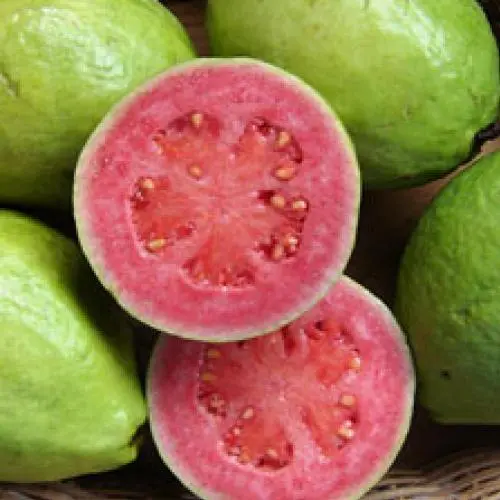 La guava al primo posto tra i frutti antiossidanti