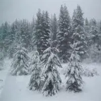 Neve in Sila, temperatura fino a -5 gradi in Calabria