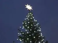 Natale, acceso l'albero a piazza S. Pietro : Viene dall'Ucraina