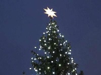 Natale, acceso l'albero a piazza S. Pietro : Viene dall'Ucraina