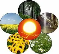 BIOENERGIE: PRIMATO ALLA PROVINCIA DI BARI