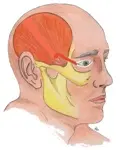 Paralisi: una speranza per i pazienti affetti da danni ai nervi