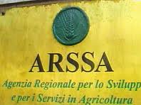 ARSSA: no a privatizzazione servizi, protesta a Catanzaro